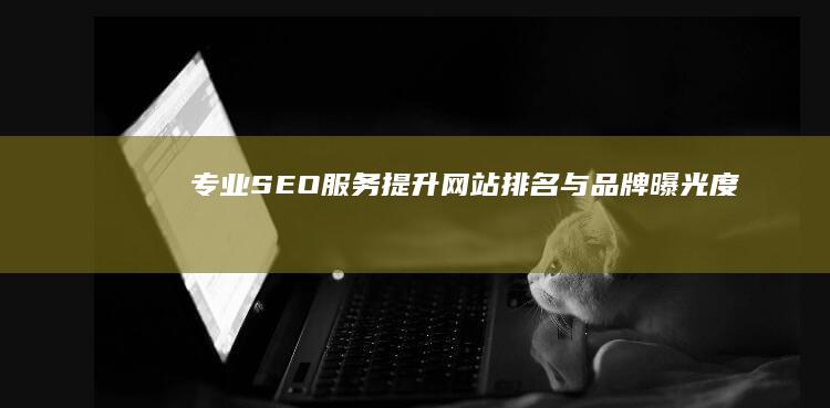 专业SEO服务：提升网站排名与品牌曝光度